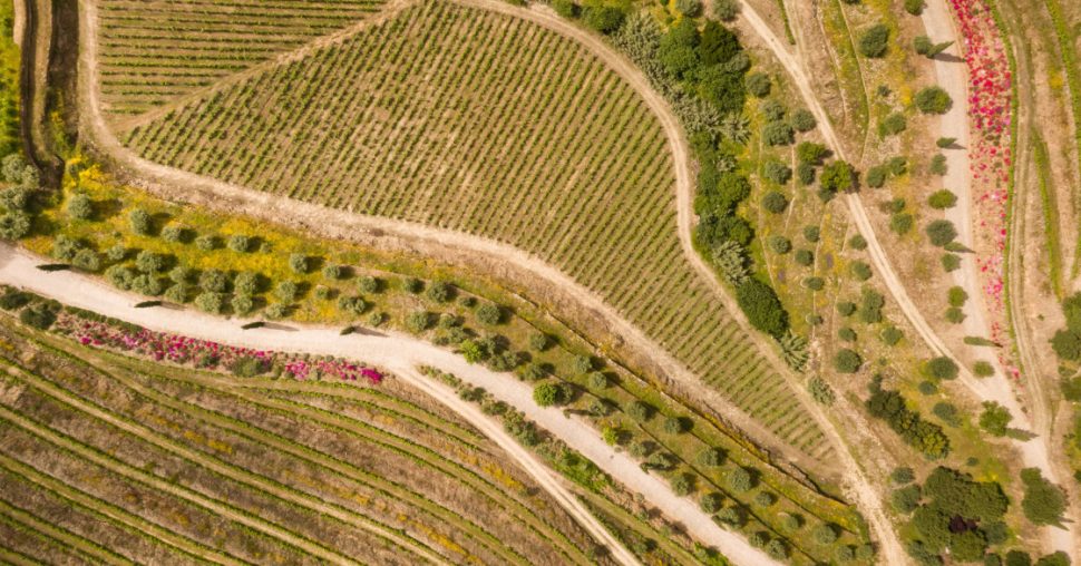 Road trip au Portugal, dans la vallée du Douro