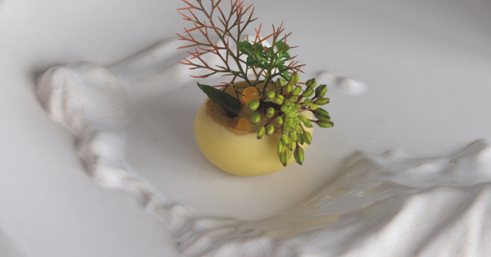 Le  studio de céramique contemporaine Terrain Vague vogue vers un avenir radieux