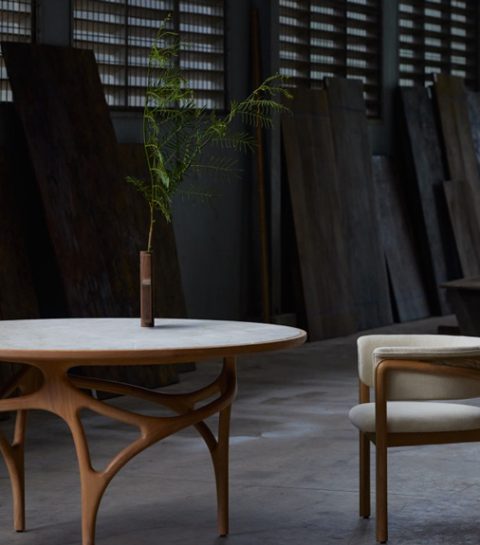 Morpho, festival de magie par le design