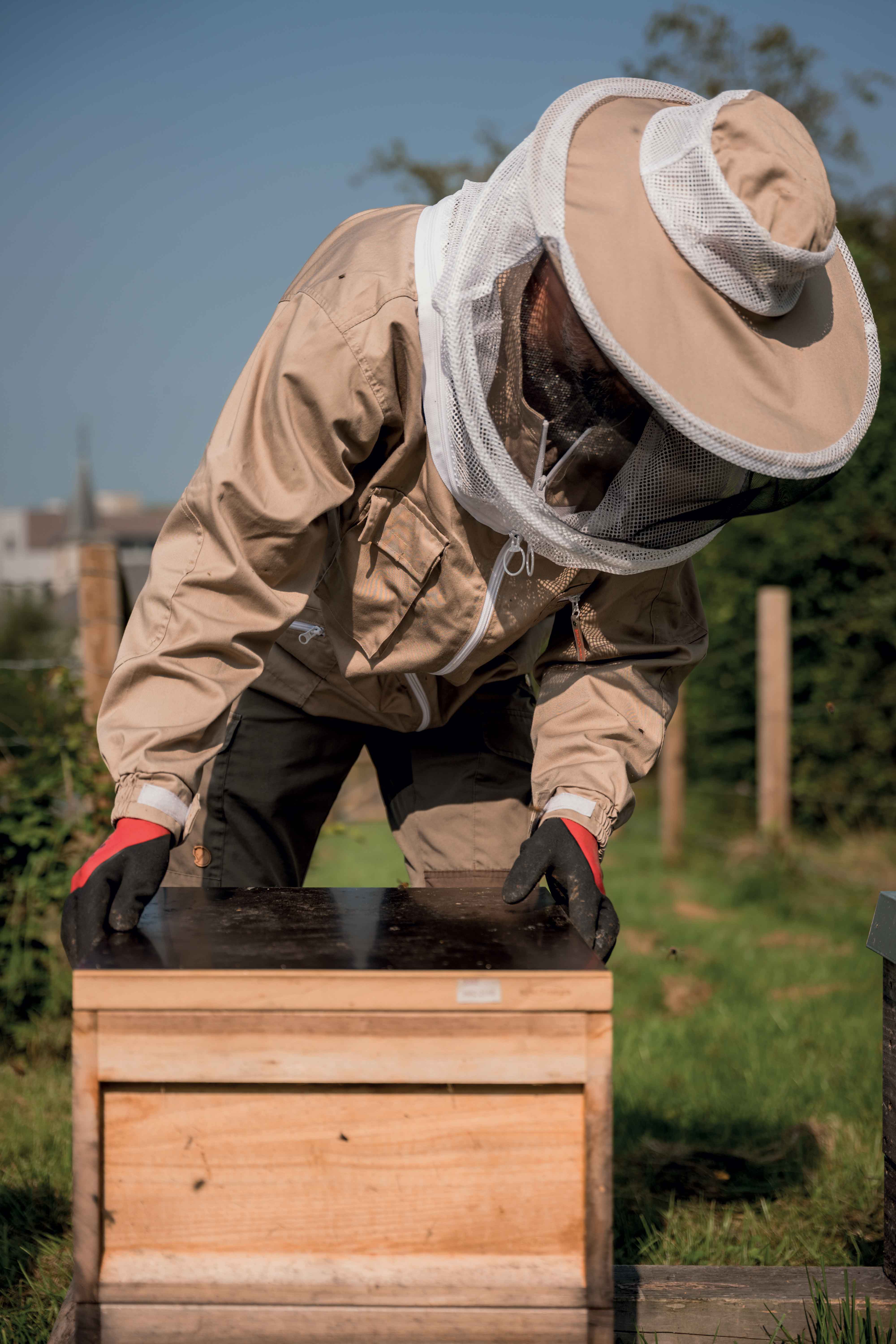 adobe-photoshop-202551646987718237