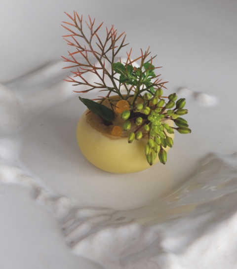 Het design duo Terrain Vague put haar inspiratie uit de natuur