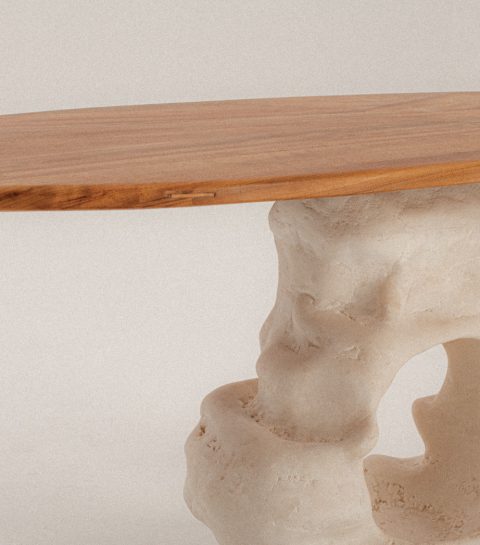 Elementaire deeltjes