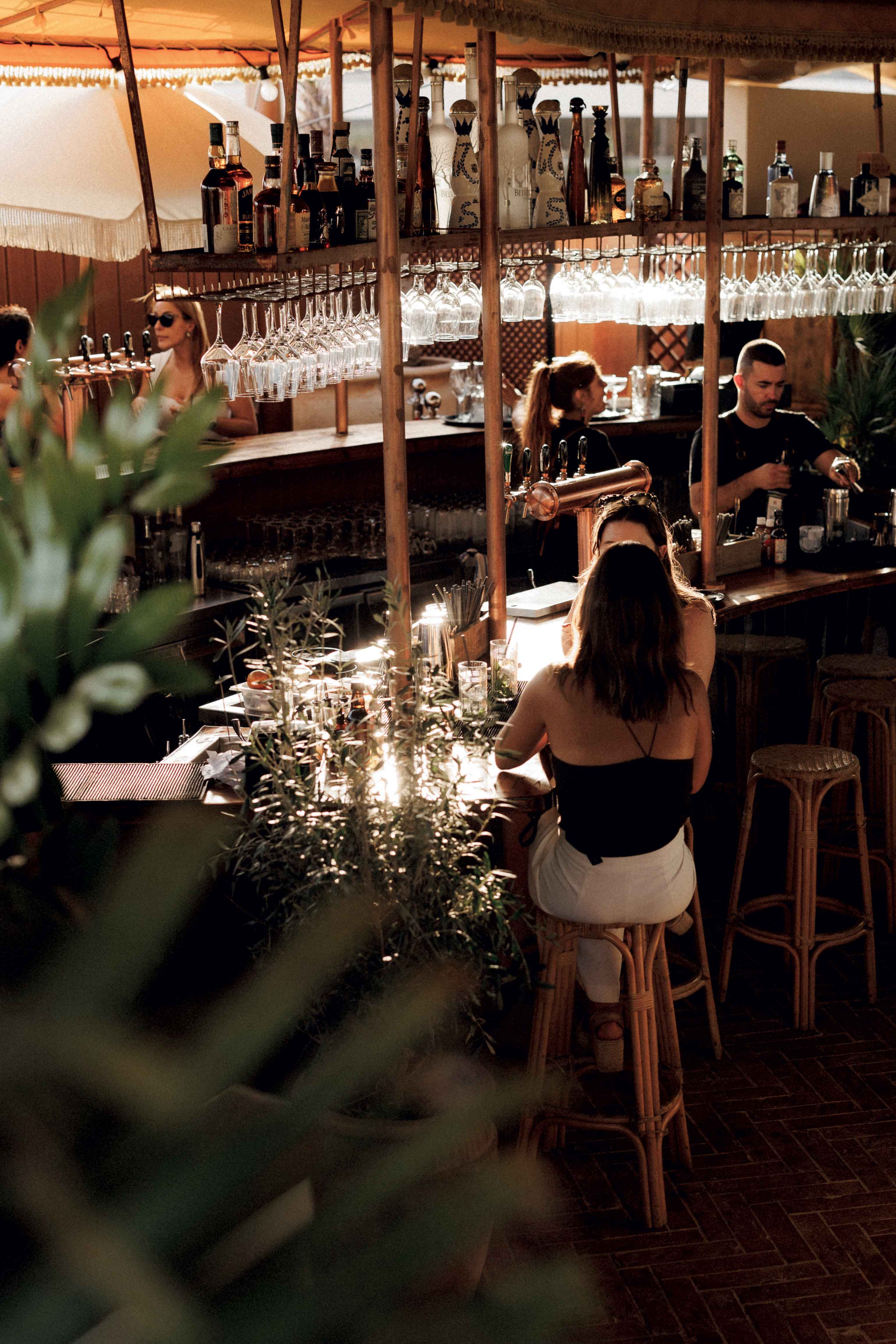 mona-verde_credits-henrique-isidoro_space_4