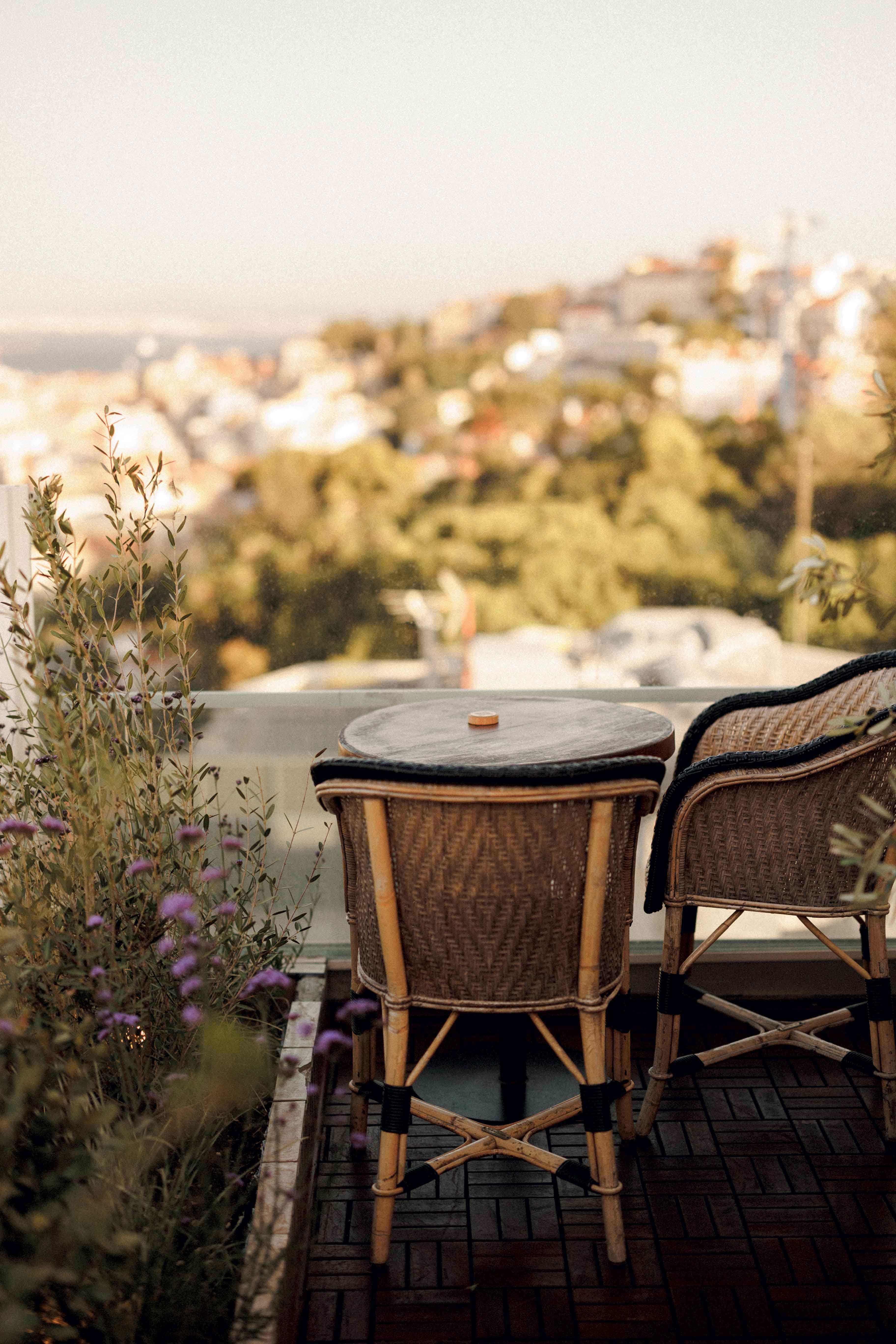 mona-verde_credits-henrique-isidoro_space_7