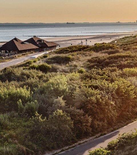 De Noordzeekust, op het ritme van de duinen